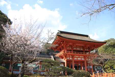 上賀茂神社　楼門と桜