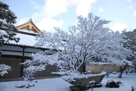 寺と雪景色