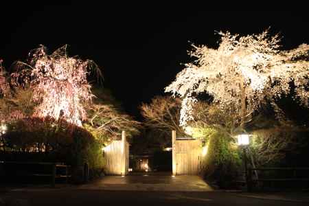 夜桜と門