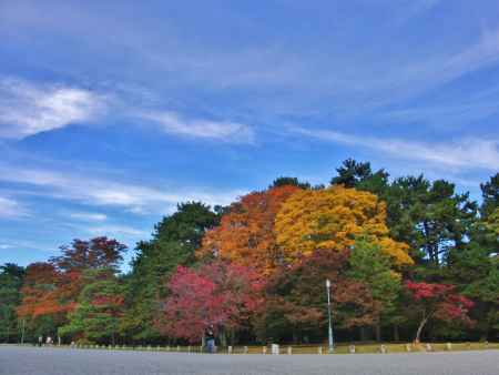 秋の京都御苑