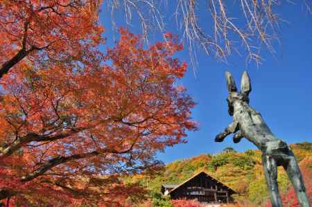 秋の大山崎山荘庭園