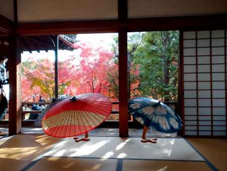 紅葉と和傘の競演