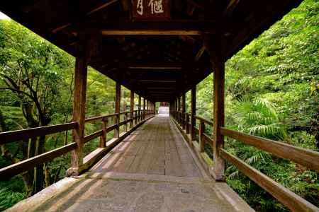 京都散歩：東福寺15