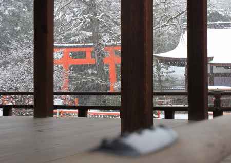 雪降る下鴨神社の境内