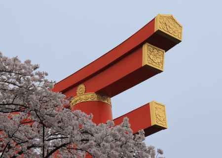 平安神宮の大鳥居と桜