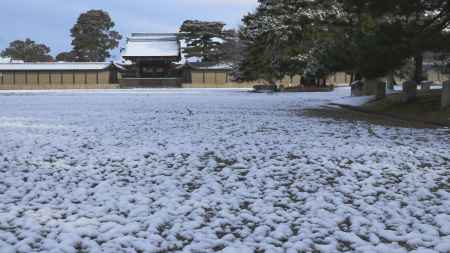 京都御苑が雪化粧