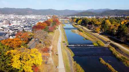 空から見た加茂川の紅葉