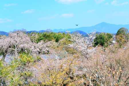 望京の丘からの眺め