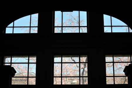 窓の春