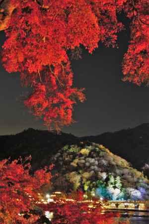 紅葉と嵐山ライトアップ