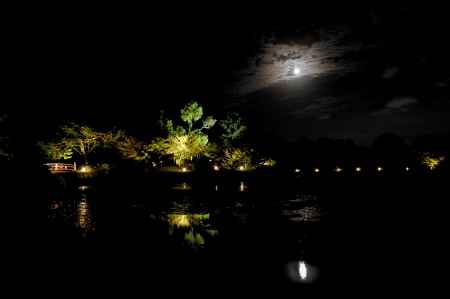大沢池に映る月