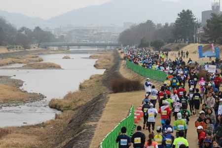 京都マラソン2015-3