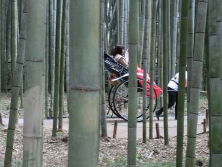 嵐山竹林の径
