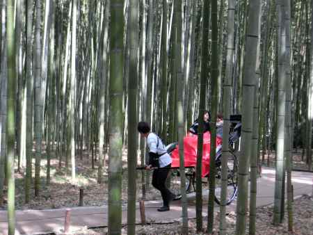 嵐山竹林の径2