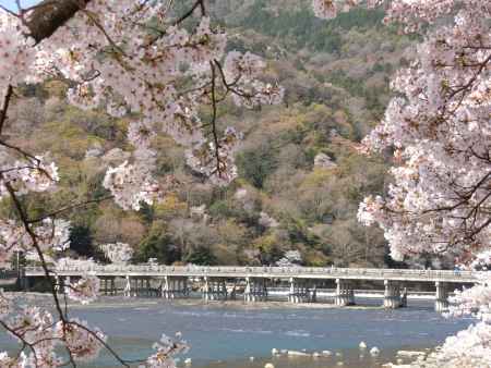 嵐山　渡月橋と桜