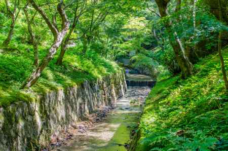 東福寺の洗玉澗で、水音に耳を澄ませる