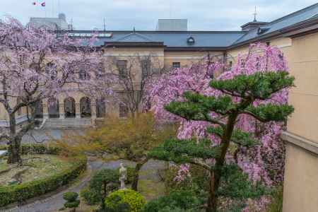 京都府庁旧本館、二階から中庭を見下ろす