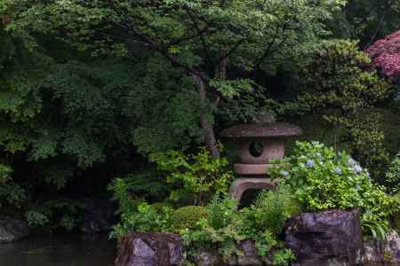 雨の善峯寺、薬師堂裏手の池と庭園