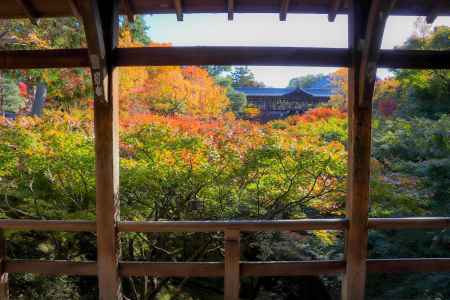 東福寺　名橋と紅葉