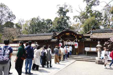京都平野神社7