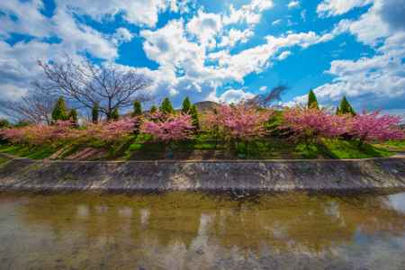桜と空と水のハーモニー