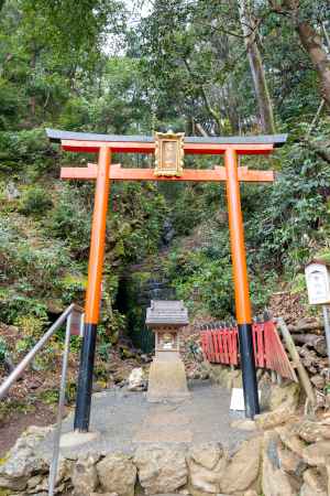 松尾大社　霊亀の滝