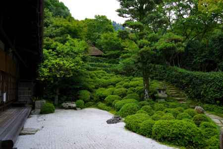 夏の金福寺庭園