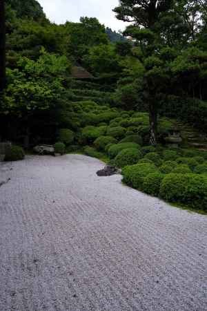 夏の金福寺庭園2
