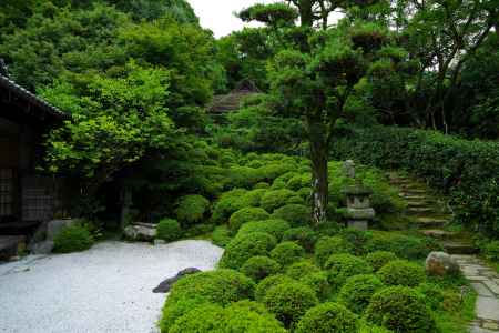 夏の金福寺庭園3