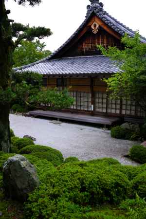 夏の金福寺庭園8