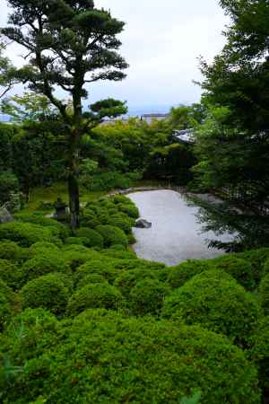 夏の金福寺庭園9