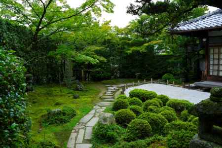 夏の金福寺庭園10