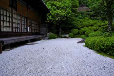 夏の金福寺庭園11