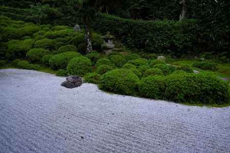 夏の金福寺庭園13