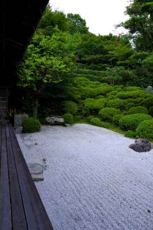 夏の金福寺庭園14