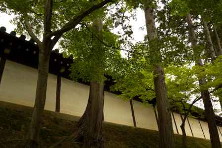 新緑の東福寺1
