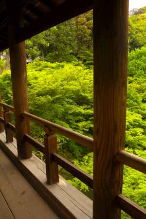 新緑の東福寺10