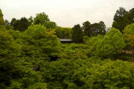 新緑の東福寺14