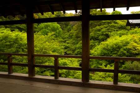 新緑の東福寺15