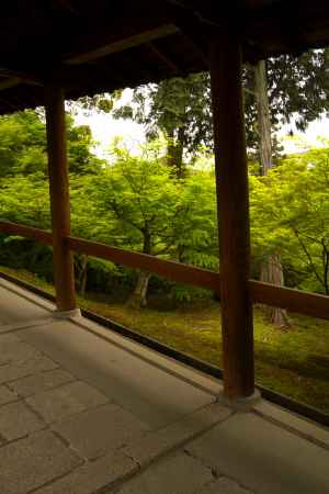 新緑の東福寺23