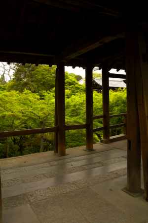 新緑の東福寺29