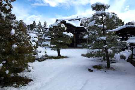 雪景色の仁和寺4