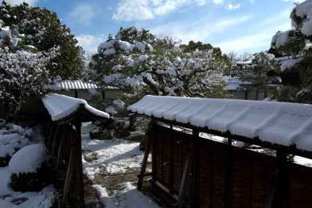 雪景色の仁和寺24
