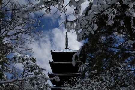 雪景色の仁和寺38