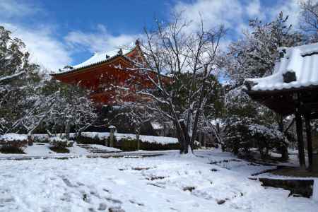 雪景色の仁和寺41