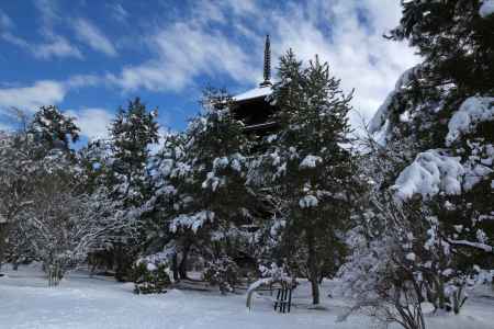 雪景色の仁和寺37