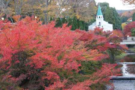 京都市の紅葉（しょうざん）