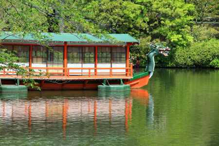 美しい神泉苑の龍頭舟