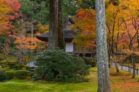 秋の京都大原三千院