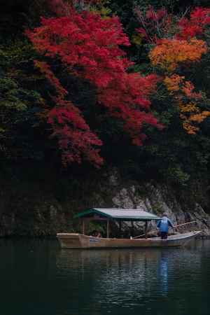 奥嵐山の紅葉